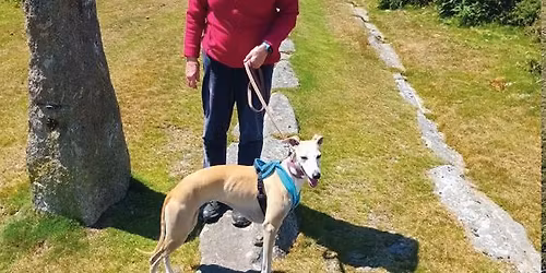 An Audience at the Palace - Walking the Historic Templar Way