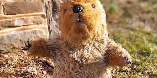 11th Annual Harleysville Hank Groundhog Extravaganza