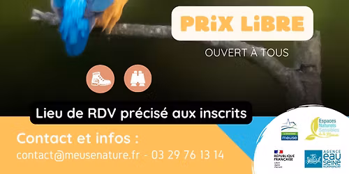 Sortie Nature : Les oiseaux des bords de Meuse \u2013 \u00e0 L\u00e9rouville
