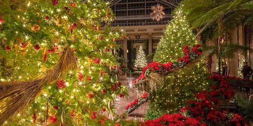 Longwood Gardens Holiday Lights