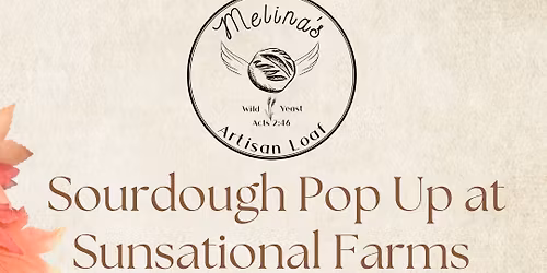 Sourdough Pop Up at Sunsational Farms