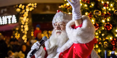 Holiday Tree Lighting
