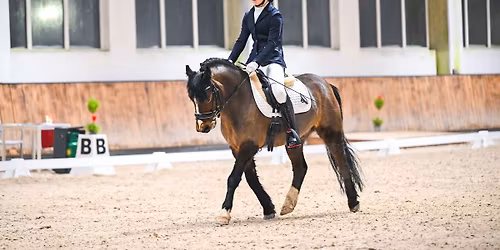 Egzamin na odznaki je\u017adzieckie