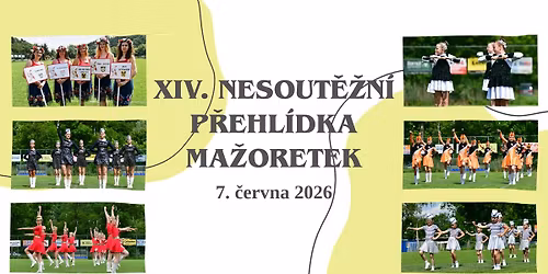 XIV. NESOUT\u011a\u017dN\u00cd P\u0158EHL\u00cdDKA MA\u017dORETEK LETOVICE