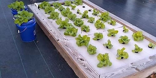 Homeowner Hydroponics Course