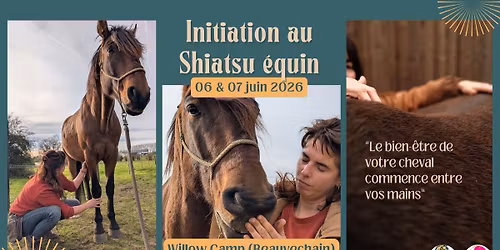 Initiation au Shiatsu \u00e9quin au Willow Camp