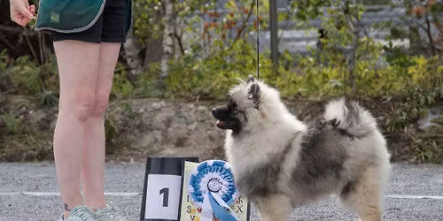 YL\u00d6KKin kes\u00e4m\u00e4ts\u00e4ri | Match Show