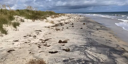 Grandview Nature Preserve, Hampton