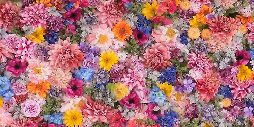 Love Makes a Family: Mother\u2019s Day Photo Event!