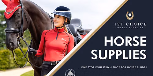 Equine Annual Sale Event 