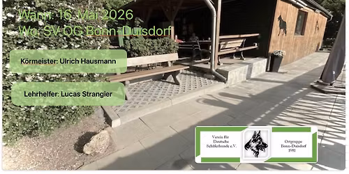 K\u00f6rung 2026