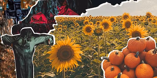 \ud83d\udc7b Rutledge Haunted Maze