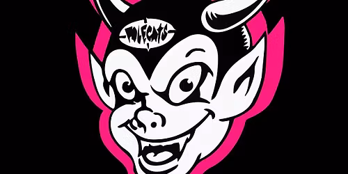 The Polecats Live In Dublin