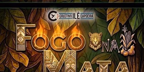 Fogo na mata