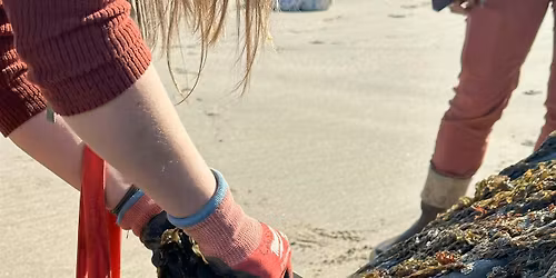 2026 Seaweed Foraging with Four Seasons of Foraging