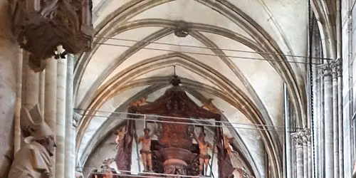 Orgelschatz Halberstadt - Orgelf\u00fchrung
