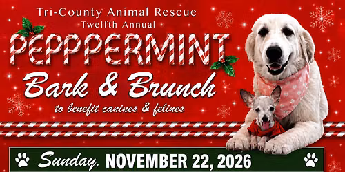 12th Annual Peppermint Bark and Brunch
