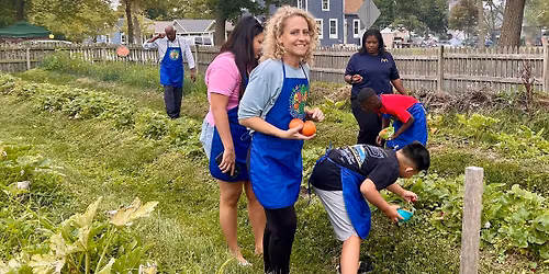 Pick, Plant, Plate Program