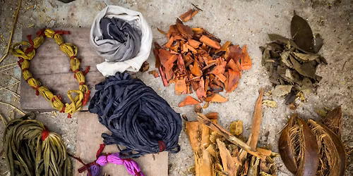 Foraging and Natural Dye Workshop with Wild Plants