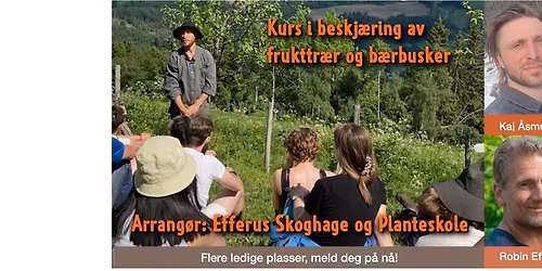 Kurs i beskj\u00e6ring av frukttr\u00e6r og b\u00e6rbusker