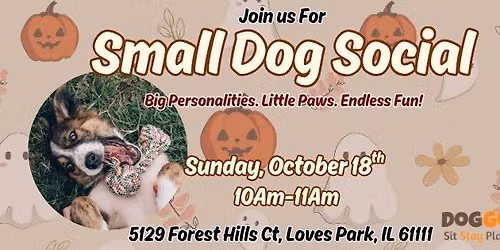 Small Dog Social