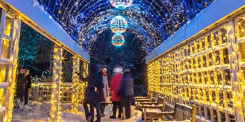 New Year's Eve Celebration at Winter Lights