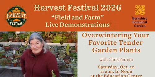 Harvest Festival Live Demonstration - Overwintering Your Favorite Tender Plants with Chris Ferrero