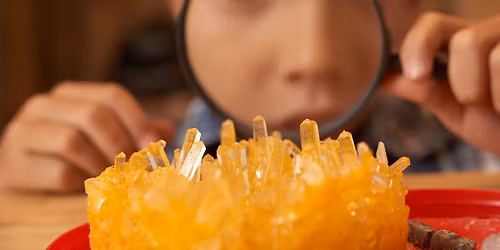 Kids Day Earth Science Educational Program at the HGMS Annual Gem, Mineral, Jewelry & Fossil Show