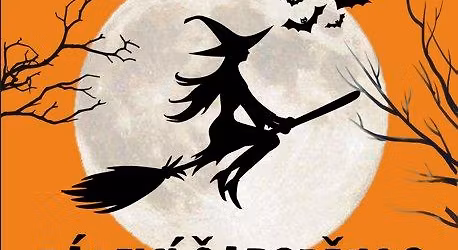 P\u00c1LEN\u00cd \u010cAROD\u011aJNIC