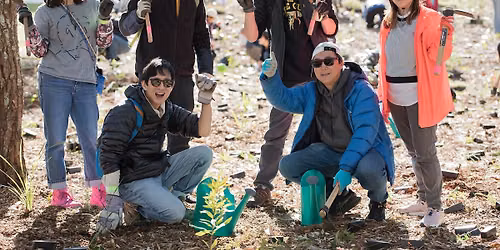 City of Parramatta National Tree Day 2026