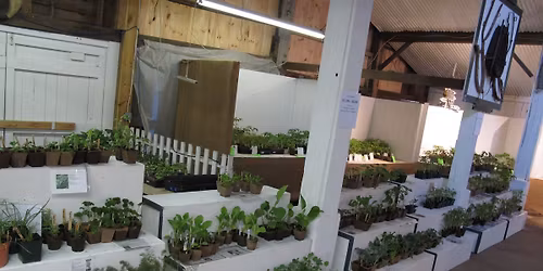 Farmers Market  - MAY 16, Seedlings Day