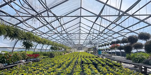 Small Business Saturday 