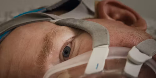 \u201cGalva\u201d \/ \u201cThe Head\u201d by Giedr\u0117 Genevi\u010di\u016bt\u0117