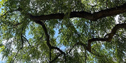 Seasonal Somatic Yin Yoga