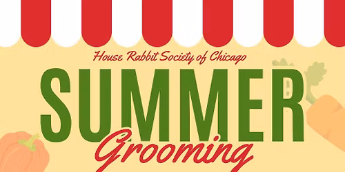Summer Grooming for rabbits