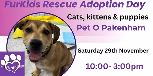 Fill your heart with Adoption!!! 