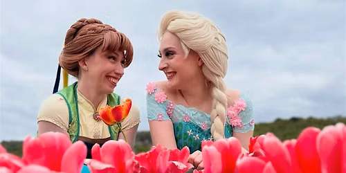 FREE Mini disco with the Ice and Travel Princesses