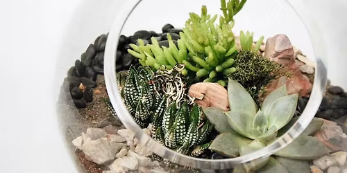 Terrarium workshop