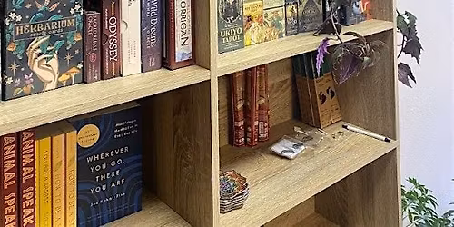 Shelves of Aeaea Grand Opening!