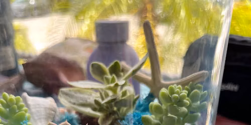 Coastal Terrarium