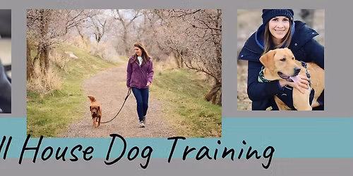 Top Dog Group Class #4