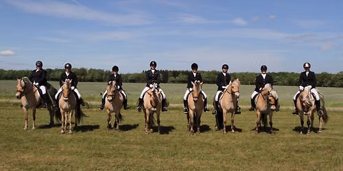 Fjordhestest\u00e6vne i Harridslev Rideklub 