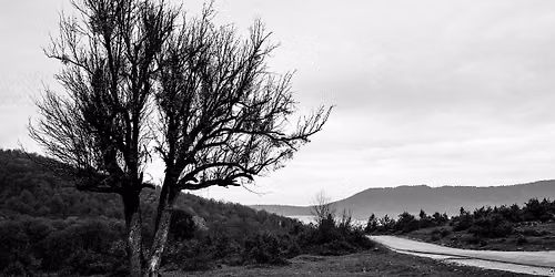 Landscape Photography Meetup — Eastrop Lane, Basingstoke, RG21 4, United Kingdom