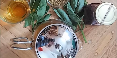 Hannah Sylvester Medicinal Herbalist (Guest speaker)