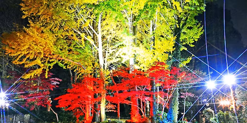 11\u670829\u65e5\uff08\u571f\uff0912\uff1a00\uff5e18\uff1a00\u3000 \u30103%\u306e\u4f1a\u30fb\u828b\u716e\u4f1a\u3011\uff20\u6771\u91d1