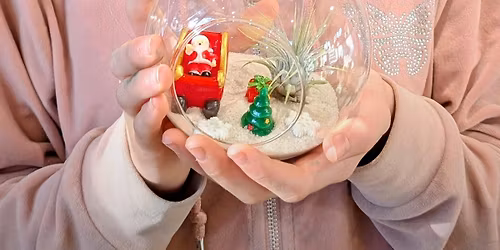Holiday Air Plant Terrarium Workshop