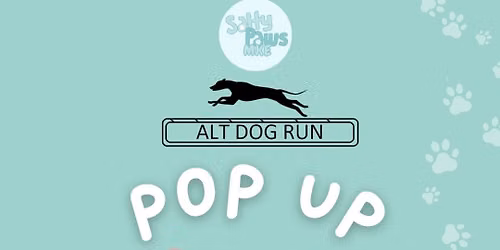 Dog Treadmill sessions @ Salty Paws MKE