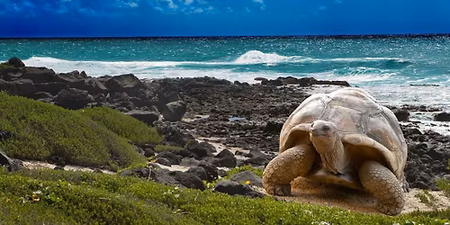 Galapagos: Luxury Island Hopping on a Private Catamaran