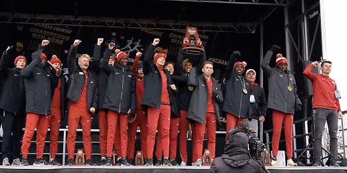Tarleton State Texans vs Arkansas Razorbacks Baseball
