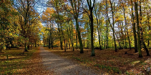 December Friday Walk - Selby Horseshoe - 9 miles\/16km